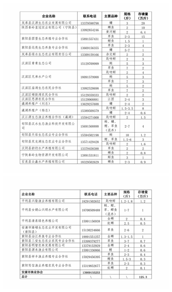 光影魔術手拼圖.jpg