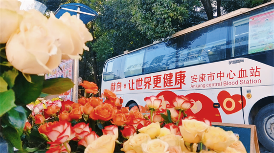 安康這三兄妹，熱血！