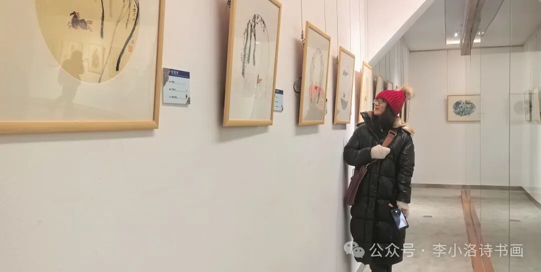 圖片